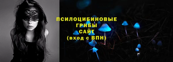 ешки Верхний Тагил