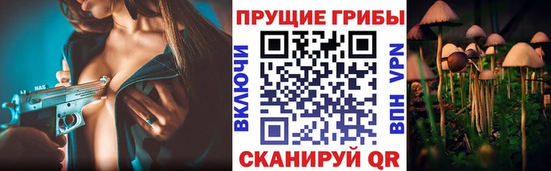 Галлюциногенные грибы GOLDEN TEACHER  Чердынь 
